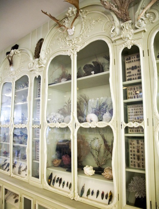 Victorian Curiosity Cabinet